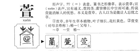 萱名字意思|萱字的含义和寓意